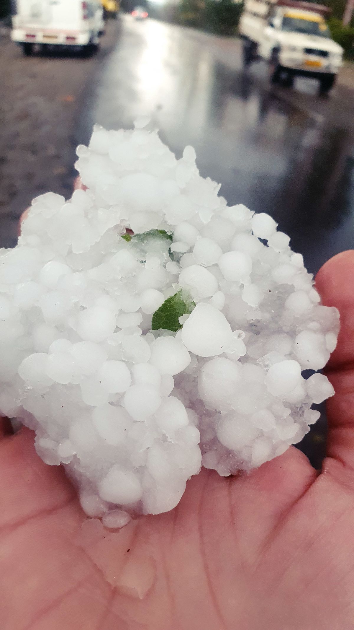 港口集装箱堆场与岸桥